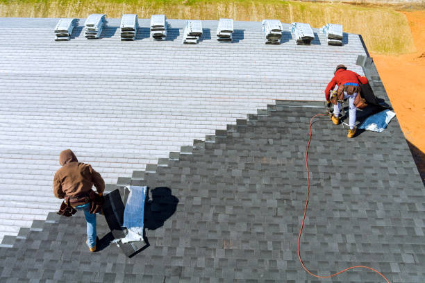 Best Storm Damage Roof Repair  in Byhalia, MS