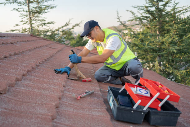 Best Roof Gutter Cleaning  in Byhalia, MS