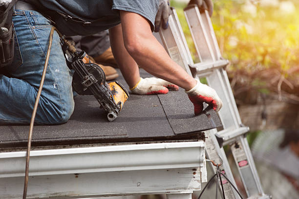 Best Roof Maintenance Services  in Byhalia, MS